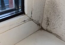 Чорні плями на стінах більше не ростуть: налила це у розпилювач і пішла на каву – і пліснява зникла сама Експерти розповіли, як легко позбутися плісняви в квартирі