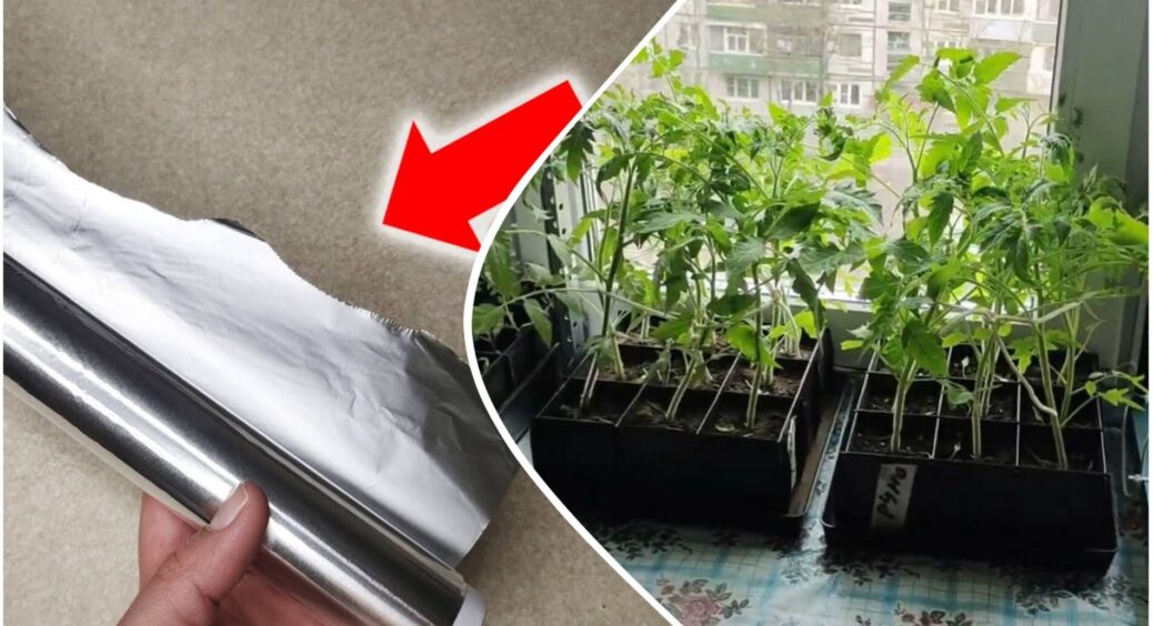 Купила в “Аврорі” рулон фольги за знижкою, але використовую не за призначенням: 1 цікавий трюк 