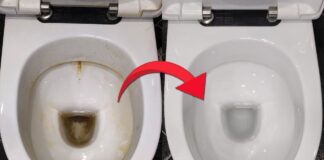 Експерти розповіли, як освіжити запах в туалеті підручними засобами	