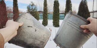 Городники назвали 3 способи застосування дірявих відер на дачі з користю