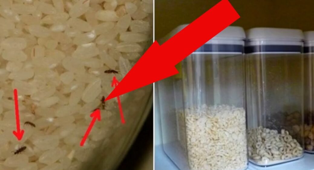 Уже 40 років ефективно зберігаю всі крупи на кухні: прищіпки для білизни та скріпки захищають їх від комах 