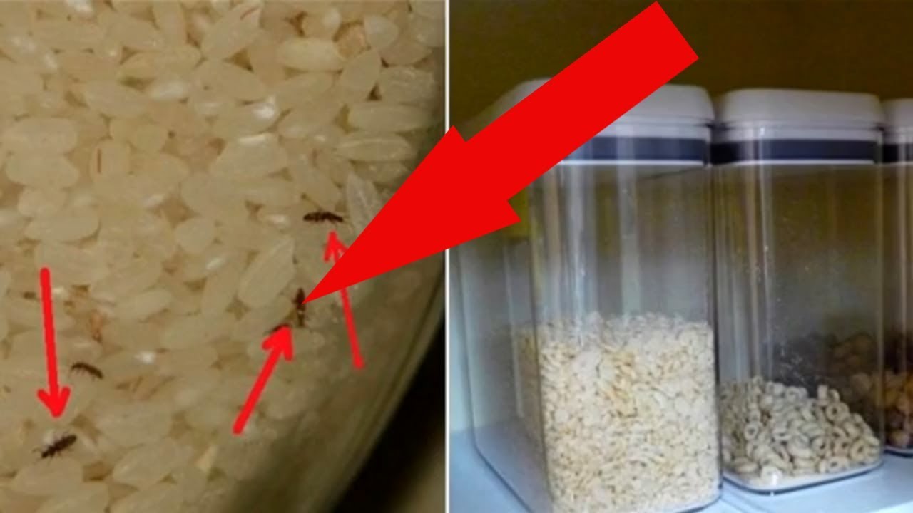 Господині розповіли, як ефективно зберігати крупи на кухні в домашніх умовах