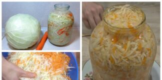 Коли квасити капусту за місячним календарем