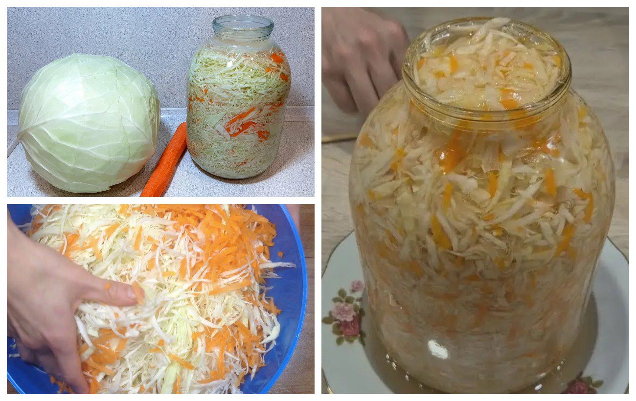 Коли квасити капусту за місячним календарем