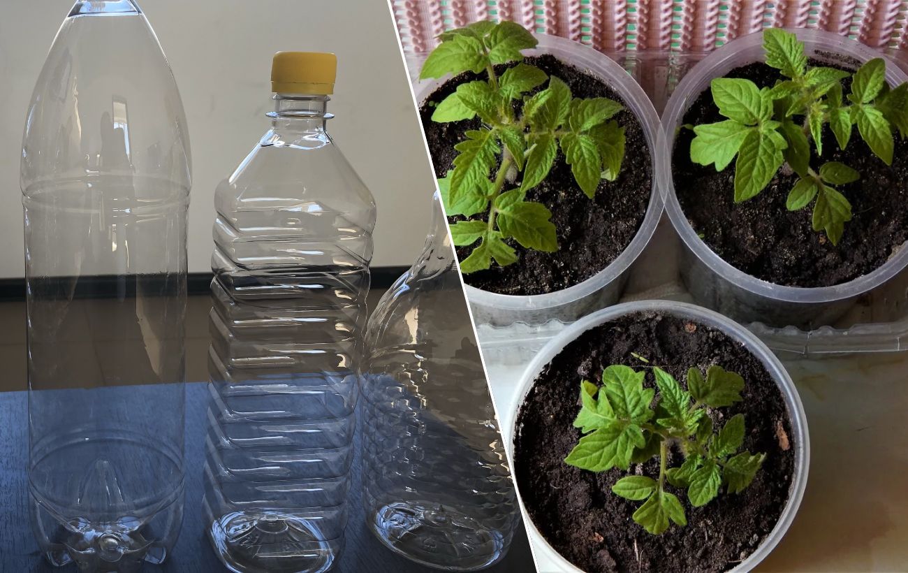 Користь пластикових пляшок для городу