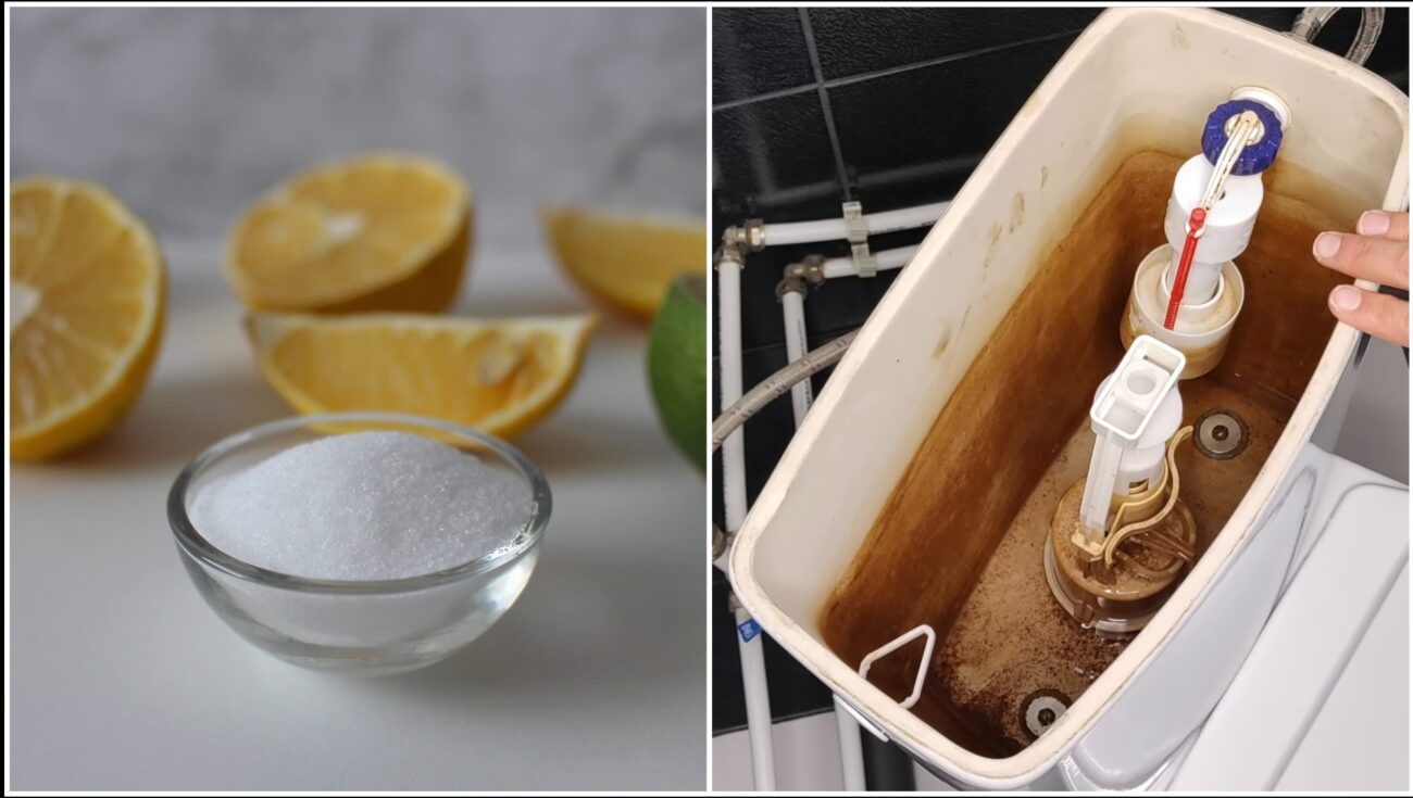 Господині розповіли, що засипати на ніч у бачок унітазу для ідеальної чистоти