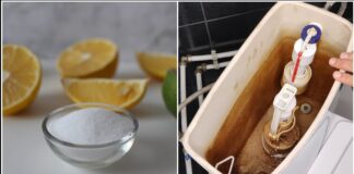 Господині розповіли, що засипати на ніч у бачок унітазу для ідеальної чистоти