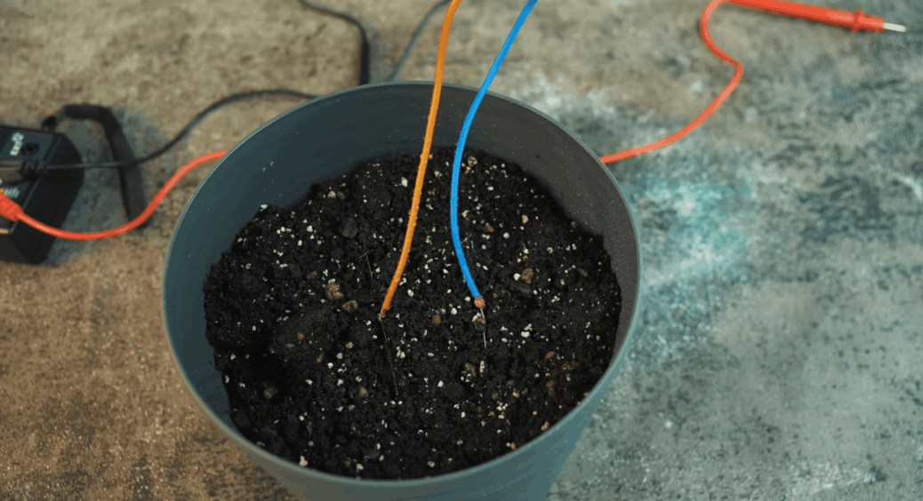 Чоловік не повірив, що заряджаю телефон від землі – поки не побачив: 5 пластин у горщику дають 7 вольт 