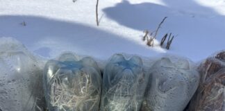 Городники розповіли, як зробити міні-теплиці на зиму зі сміття 