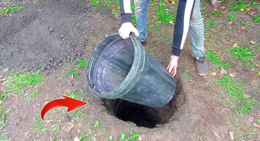 Закопала пластикову бочку в землю – і отримала холодильник без світла: лайфхак куми, яка працює на комбінаті 