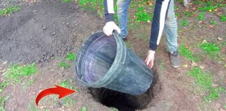 Експерти розповіли, як зробити з пластикової бочки зручний міні погреб