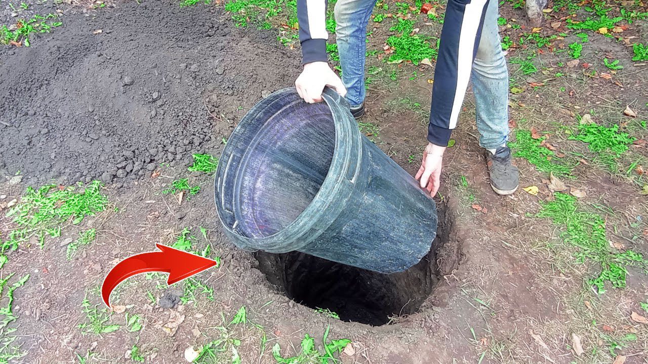 Експерти розповіли, як зробити з пластикової бочки зручний міні погреб