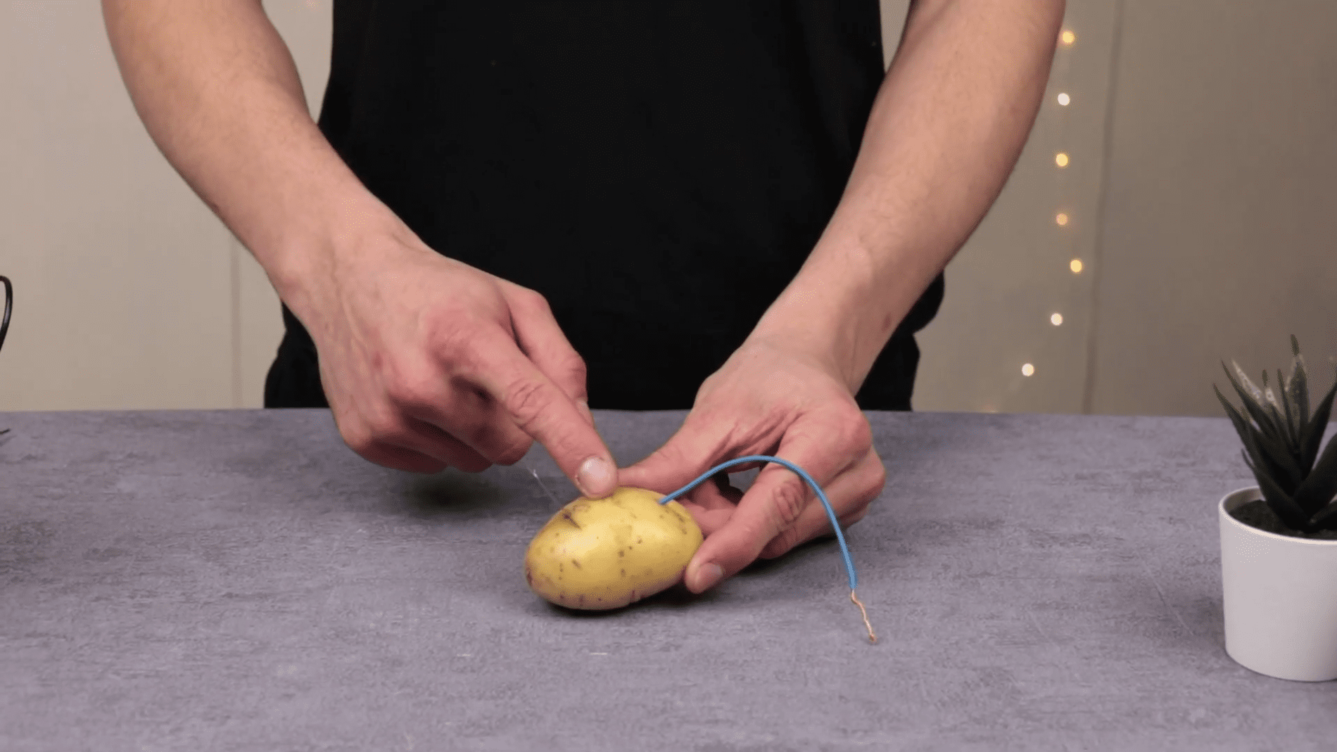 Експерти розповіли, як отримати електричний струм з картоплі