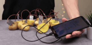 Експерти розповіли, як отримати електричний струм з картоплі