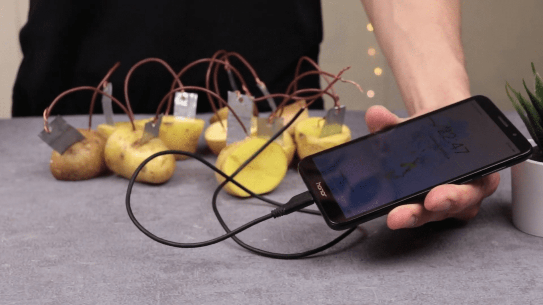 Експерти розповіли, як отримати електричний струм з картоплі