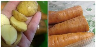 Господині розповіли, як відновити хрумку текстуру вʼялої моркви