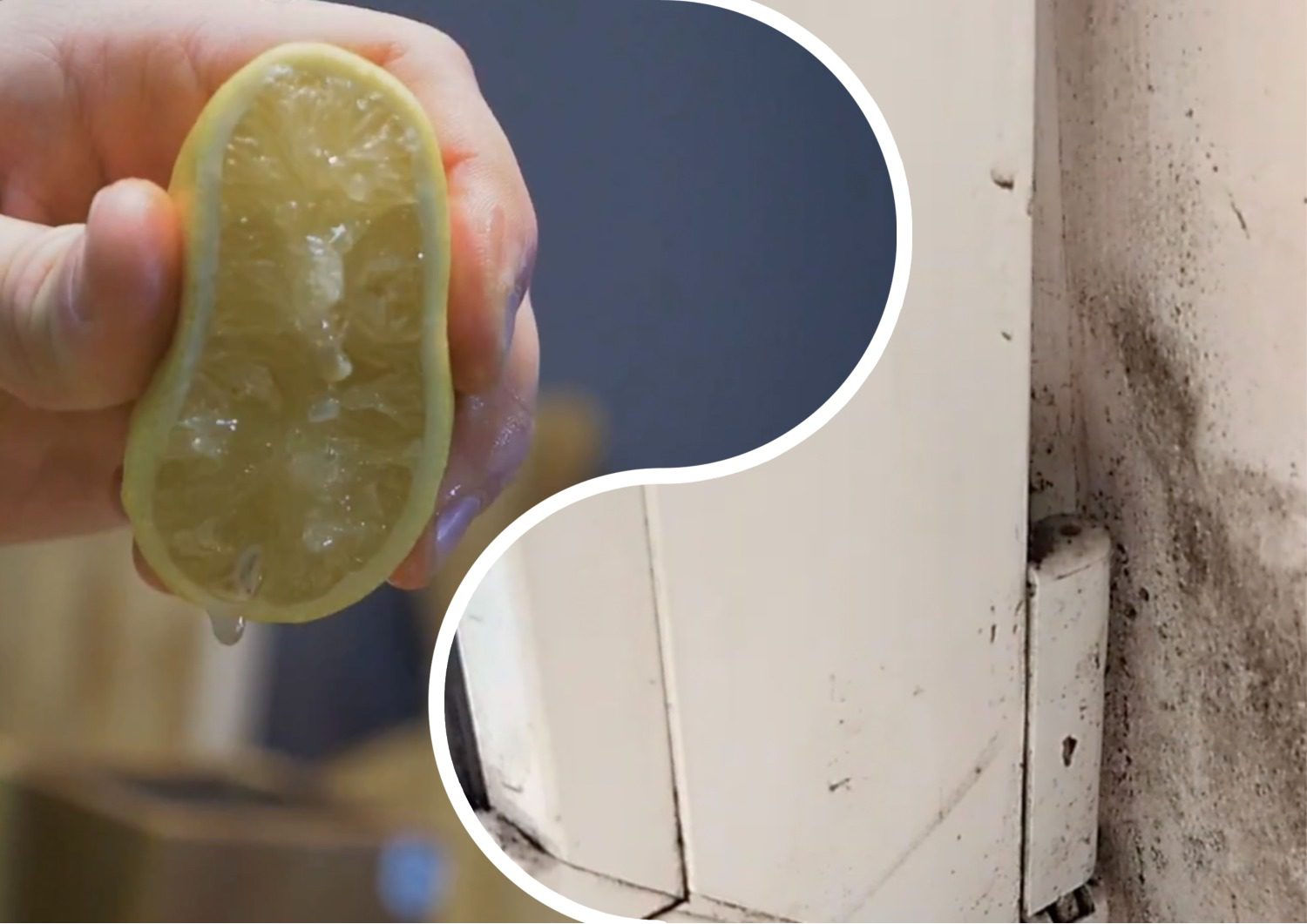 Господині розповіли, як прибрати грибок на відкосах без хімії