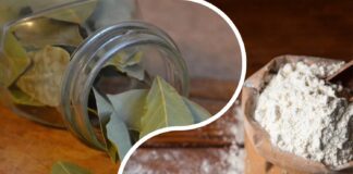 Господині розповіли, навіщо класти лаврове листя в борошно