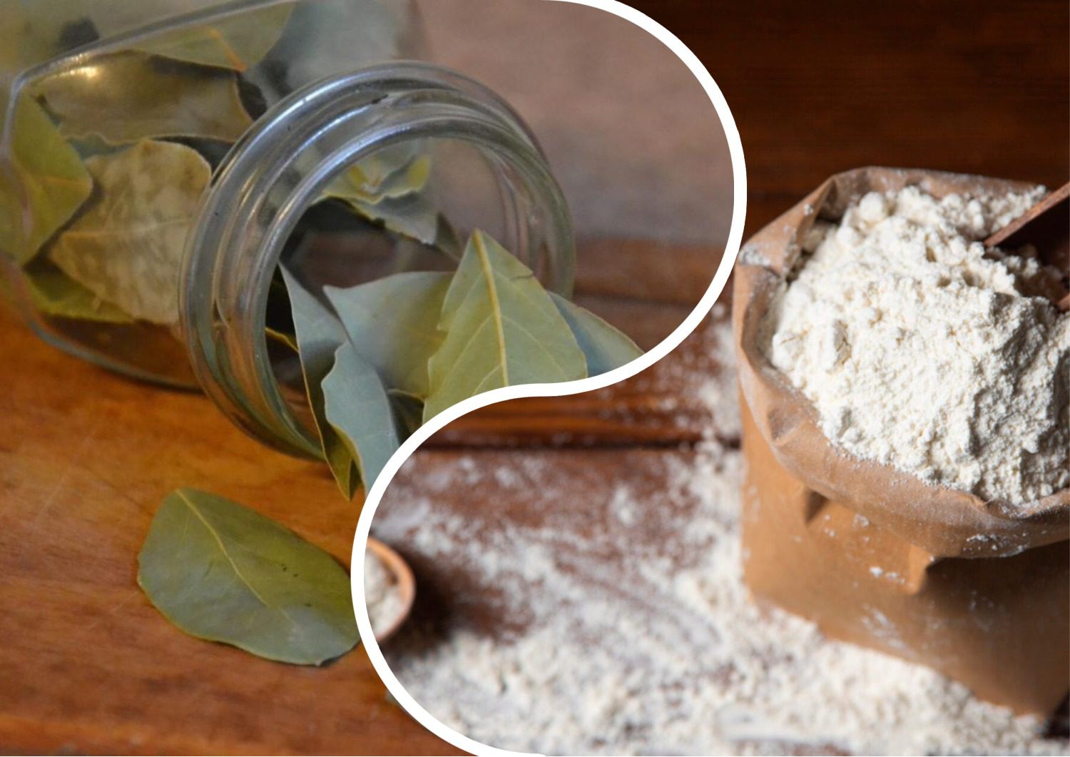 Господині розповіли, навіщо класти лаврове листя в борошно