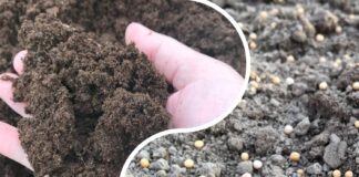 Городники розповіли, як навесні підвищити родючість ґрунту