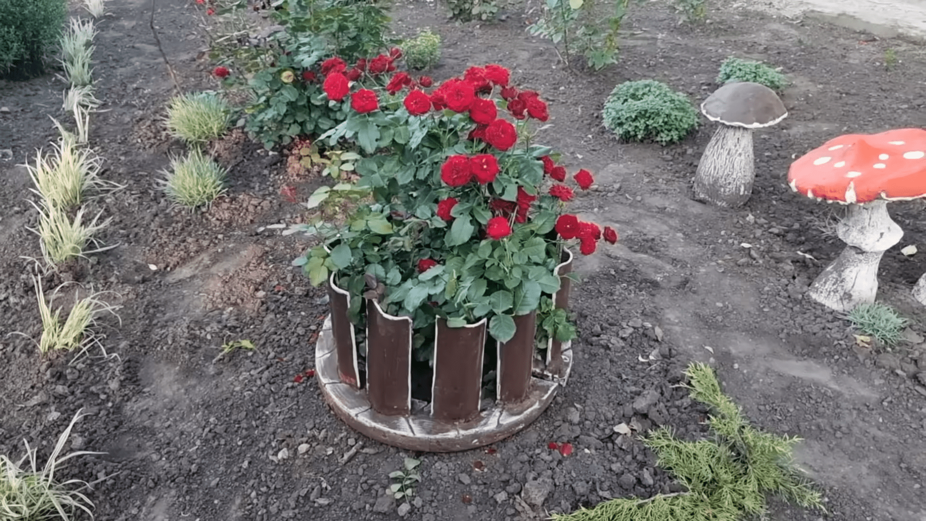 Квітникарі розповіли, як використати залишки шиферу в саду