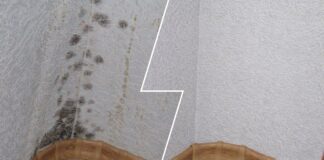 Господині поділилися рецептом розчину проти цвілі