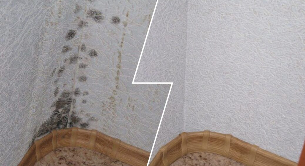 Після зими по всій хаті знайшла купу “сюрпризів”: цей саморобний засіб прибирає цвіль усюди на раз-два 