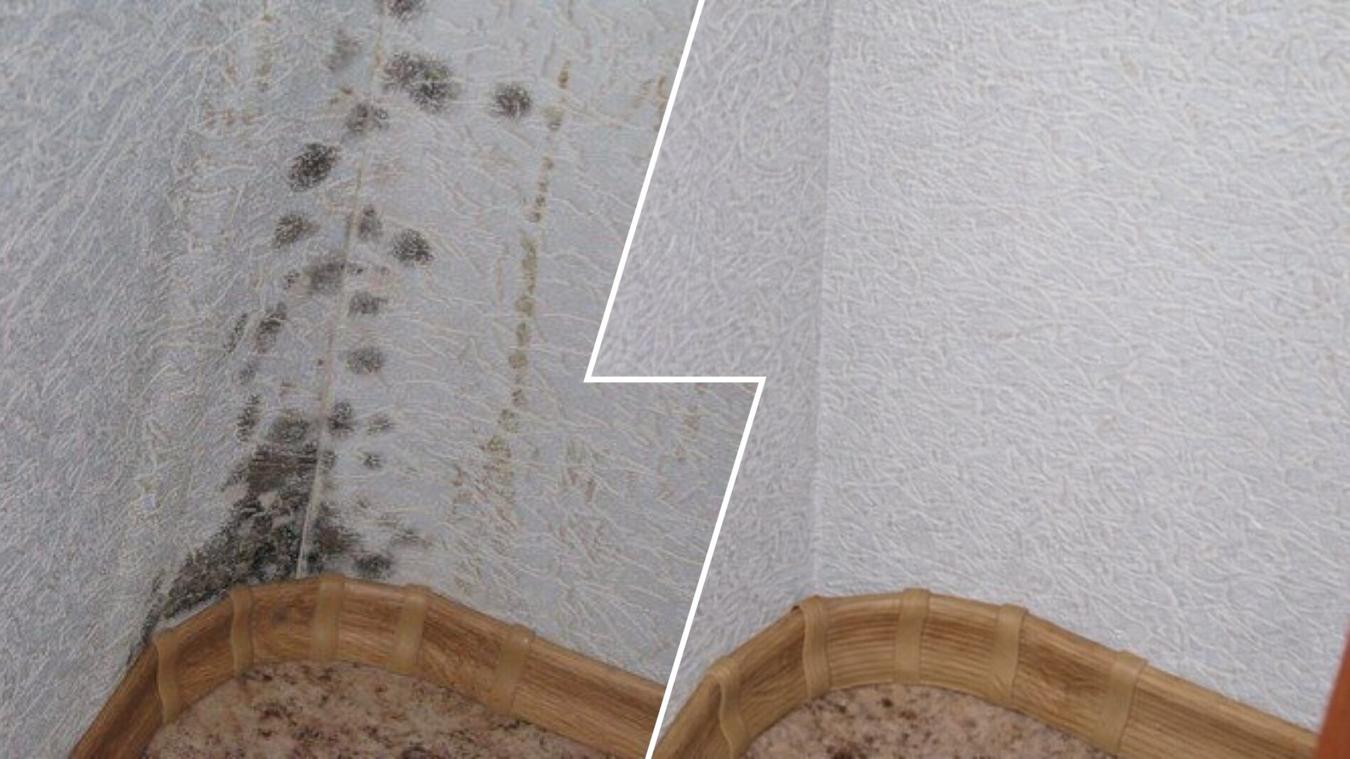 Господині розповіли, як позбутися чорної плісняви на стінах 