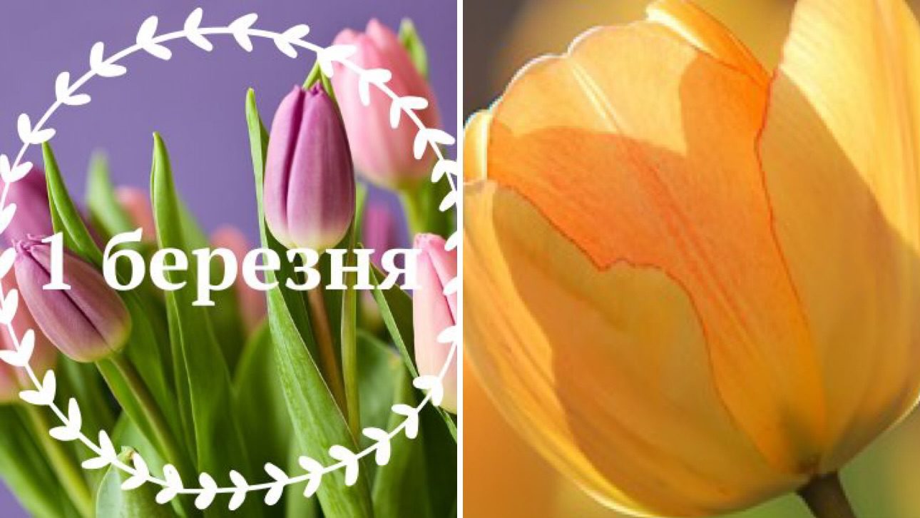 Господині розповіли, як красиво привітати рідних з першим днем весни 