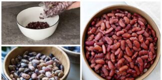 Господині розповіли, як зварити суху квасолю за 15 хвилин 