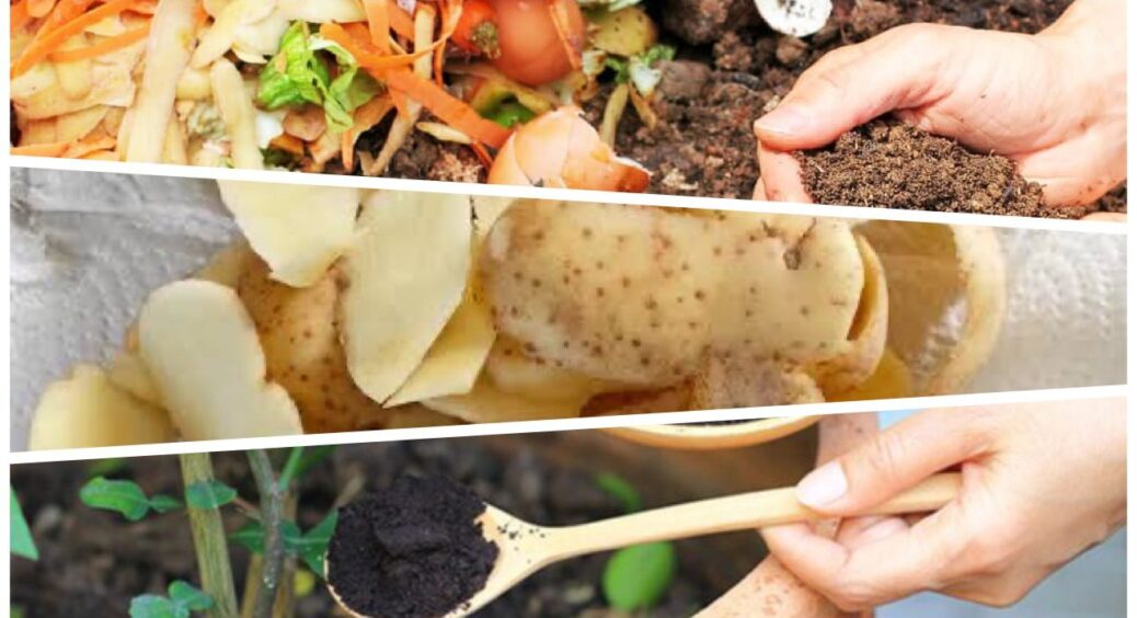 Перетворюю відходи на доходи: 3 речі, що для вас сміття, я збираю і весною несу на город — рослинам користь 