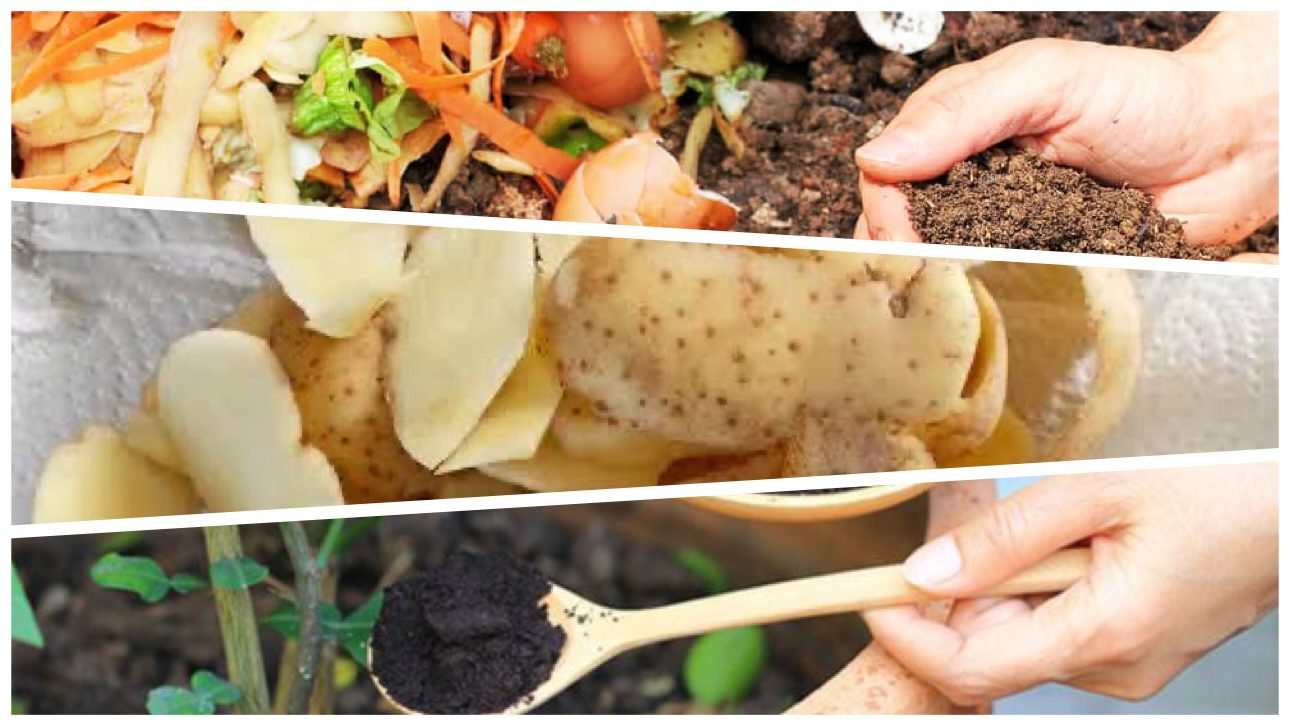 Городники розповіли, які відходи з кухні можна використовувати як добрива 