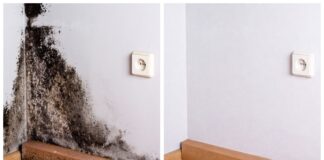 Господині розповіли, як позбутися чорної плісняви на стінах