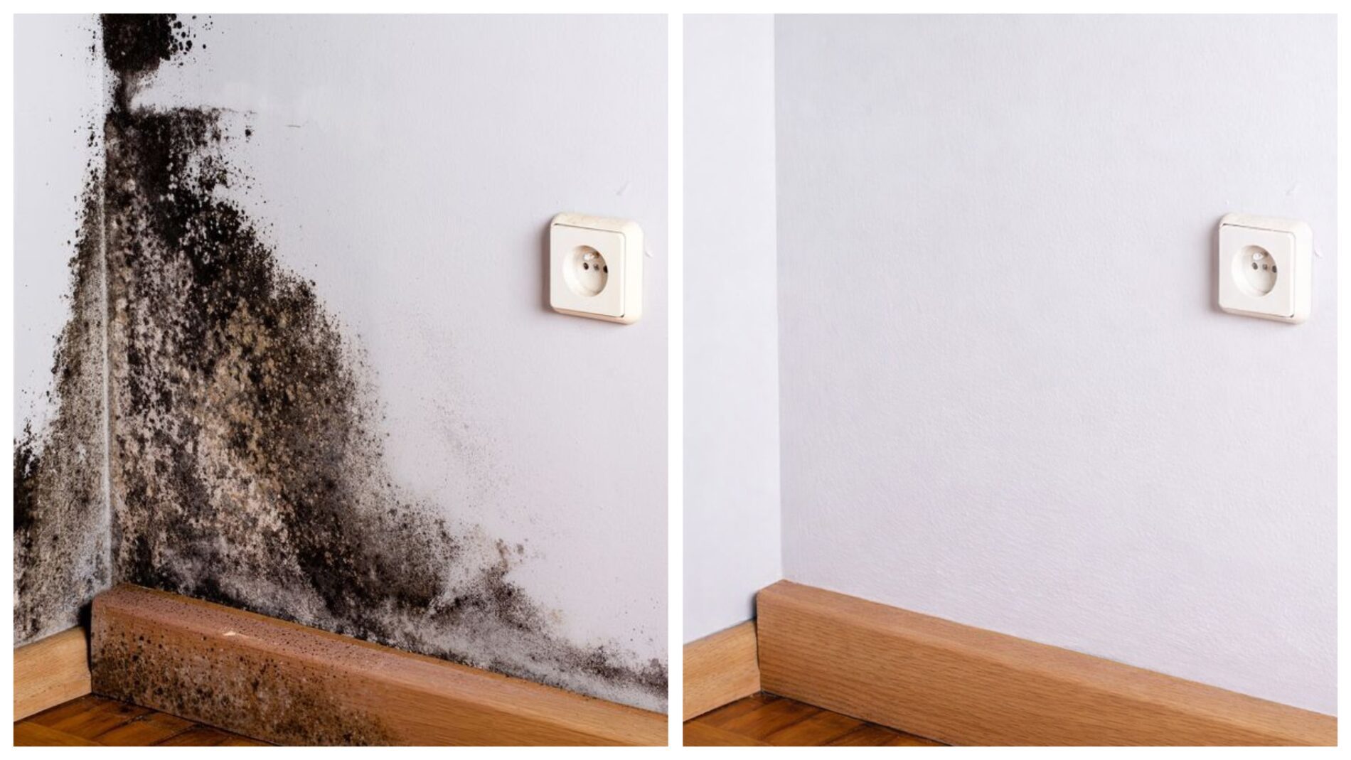 Господині розповіли, як без хімії позбутися чорної плісняви на стінах 