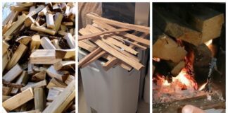 Господині розповіли, як швидко висушити відсирілі дрова 