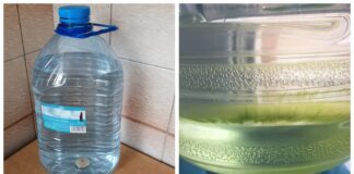 Господині розповіли, як зберігати запаси води, щоб вона не пліснявіла 