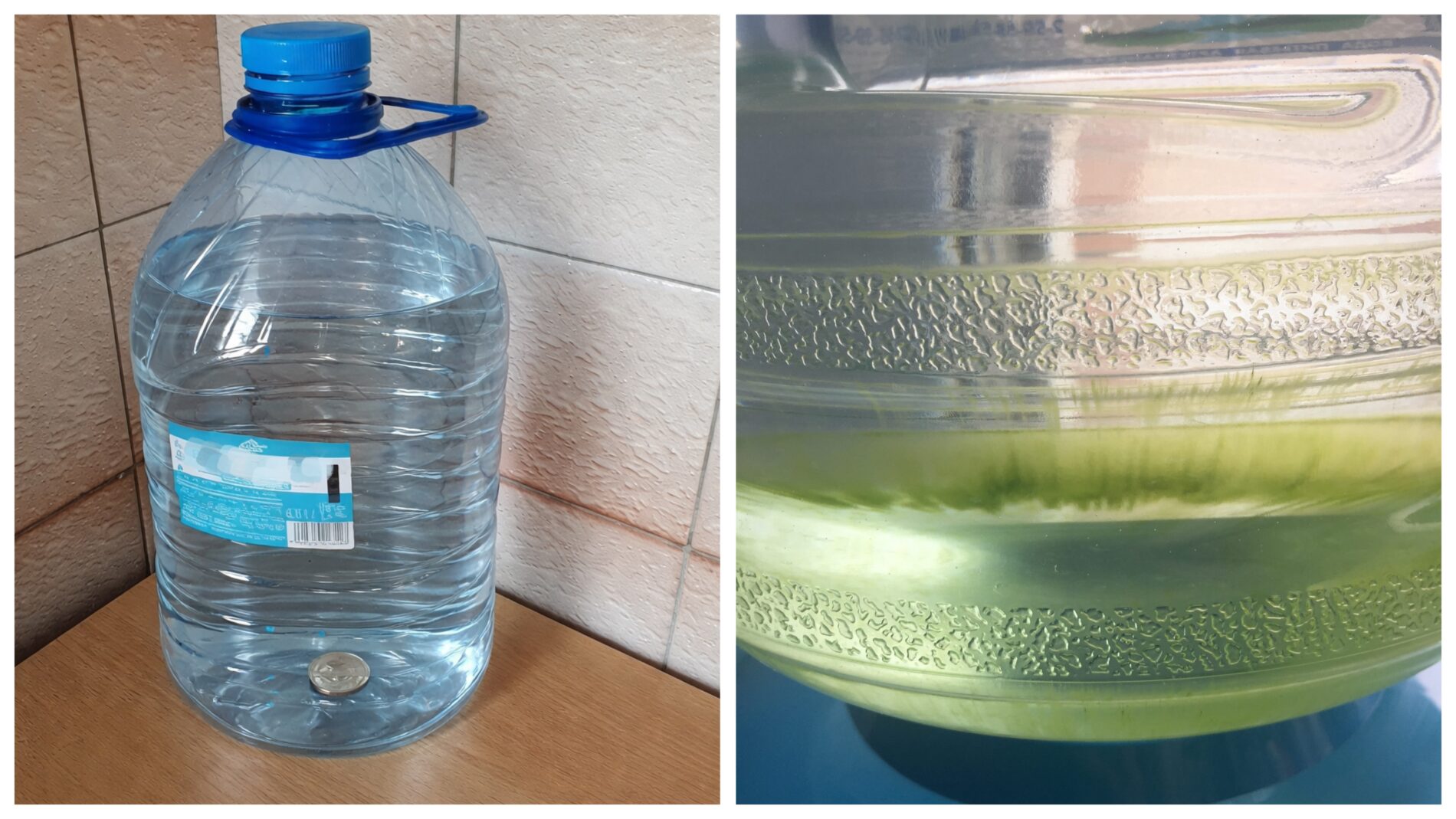 Господині розповіли, як зберігати запаси води, щоб вона не пліснявіла 