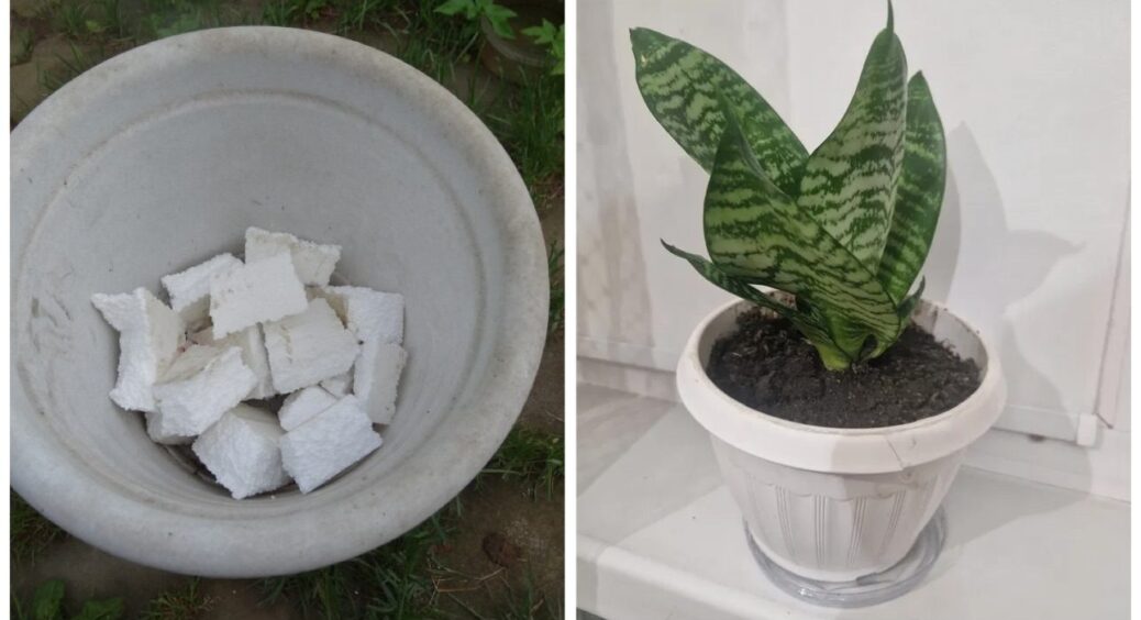 Пінопласт з коробок – “сипуче золото”: кладу його в горщики до квітів – це дренаж №1 