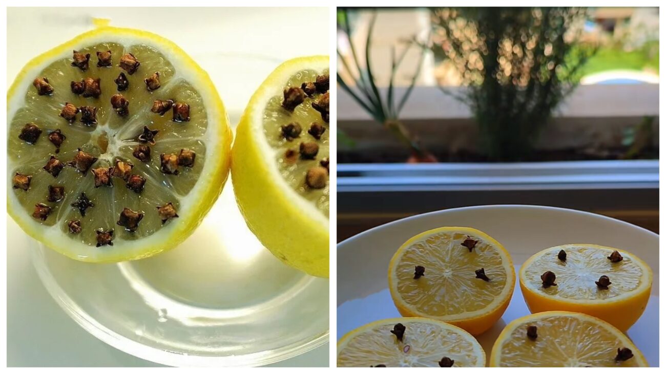 Господині розповіли, як своїми руками зробити ароматизатор з лимону Господині розповіли, як своїми руками зробити ароматизатор з лимону