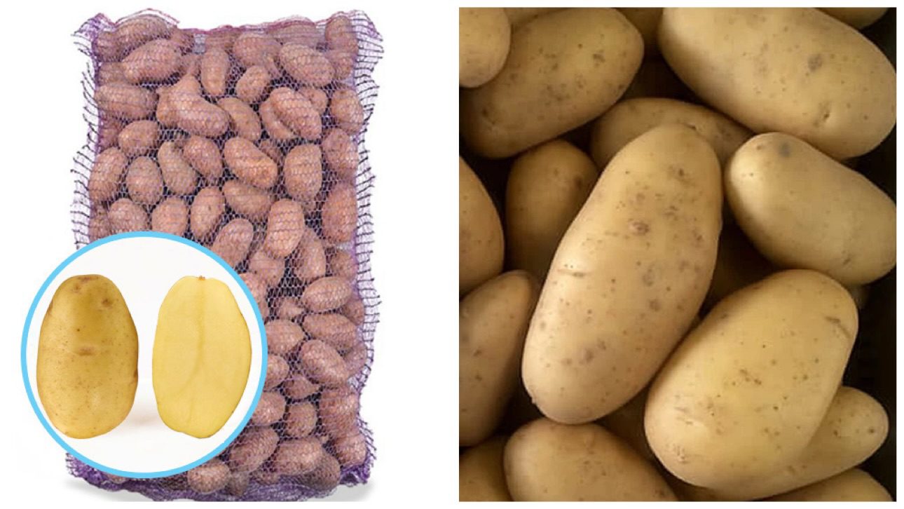 Городники назвали найврожайніший сорт картоплі для висадки у 2026 