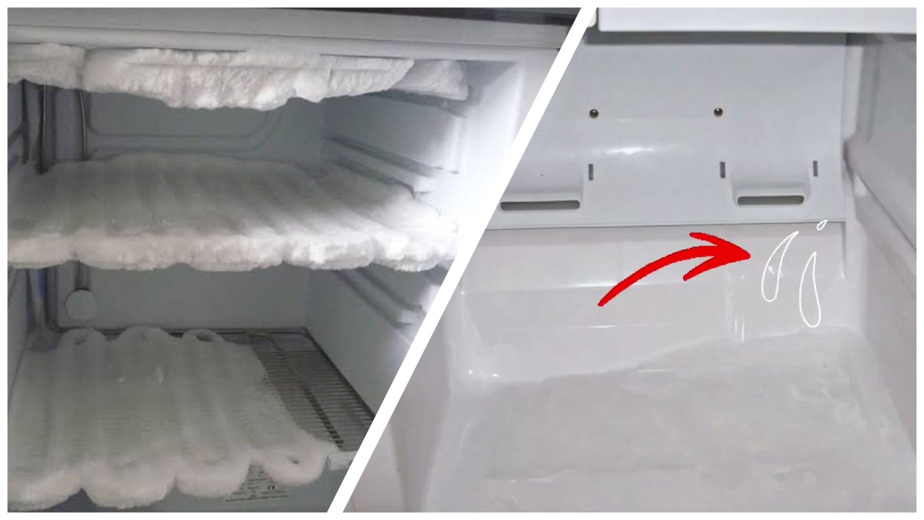 Господині показали трюк, щоб на стінках морозилки не намерзав лід 