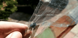 Експерти розповіли, як виготовити великий пластиковий лист зі звичайних пляшок