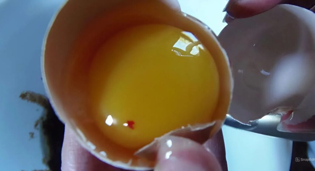 Червона цятка в яйці – викидати чи їсти: лікар пояснив, що насправді означає цей згусток і чи є небезпека 