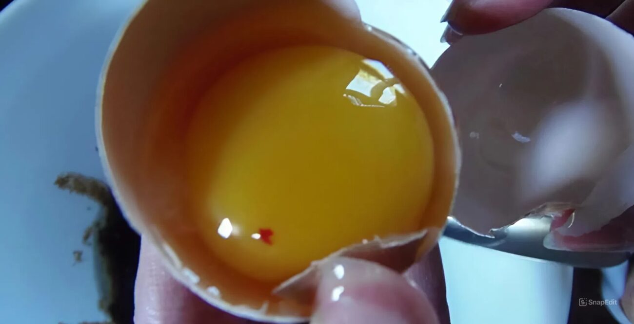 Експерти розповіли, чи можна їсти яйця з червоними вкрапленнями