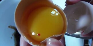 Експерти розповіли, чи можна їсти яйця з червоними вкрапленнями