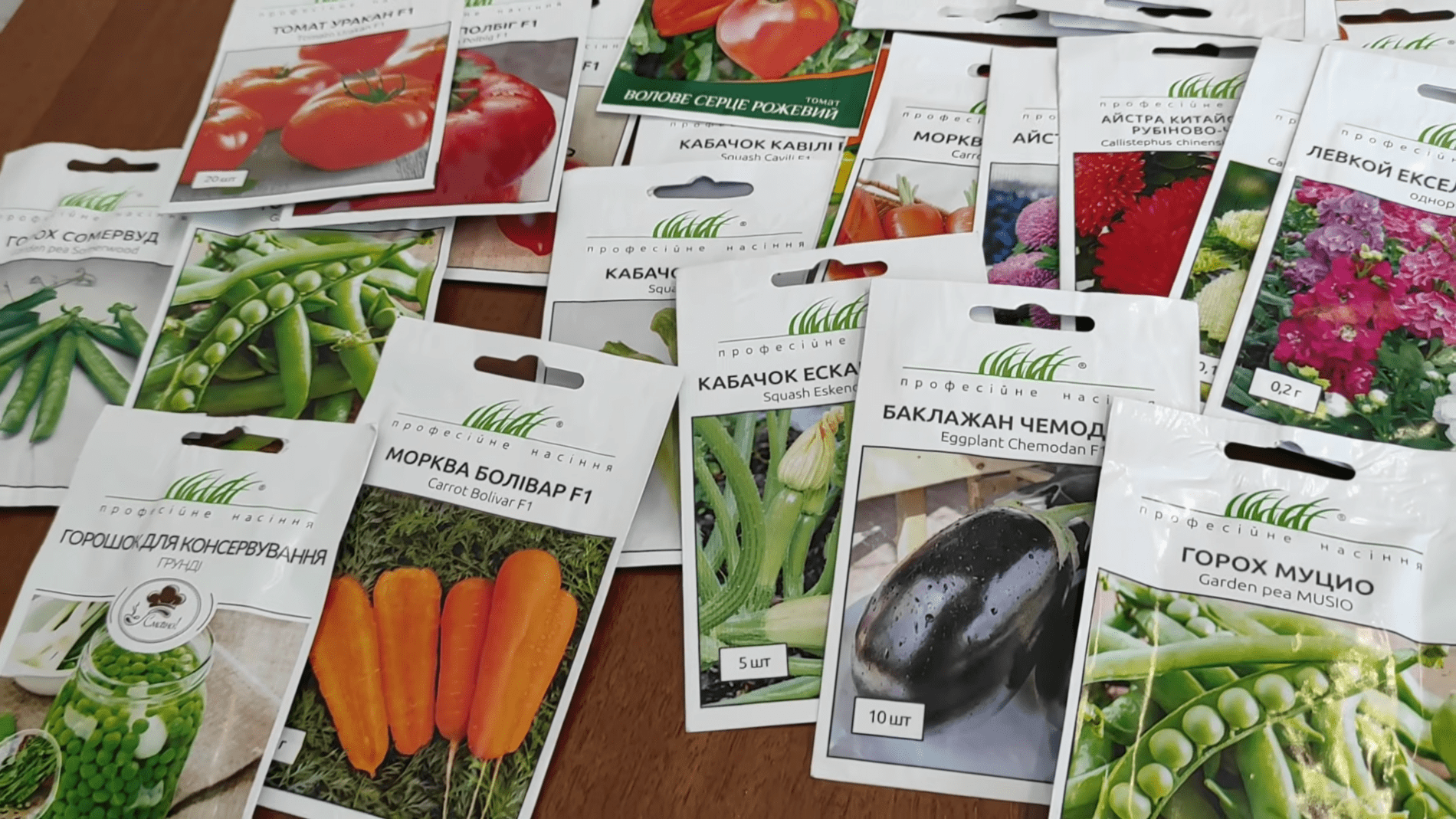 Дачники розповіли секрети вирощування баклажанів з насіння