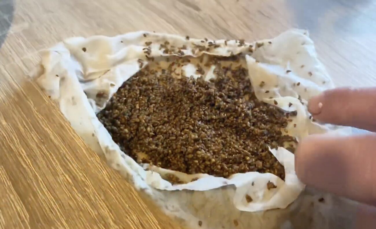 Садівники розповіли, в чому замочити насіння моркви, щоб воно швидко зійшло