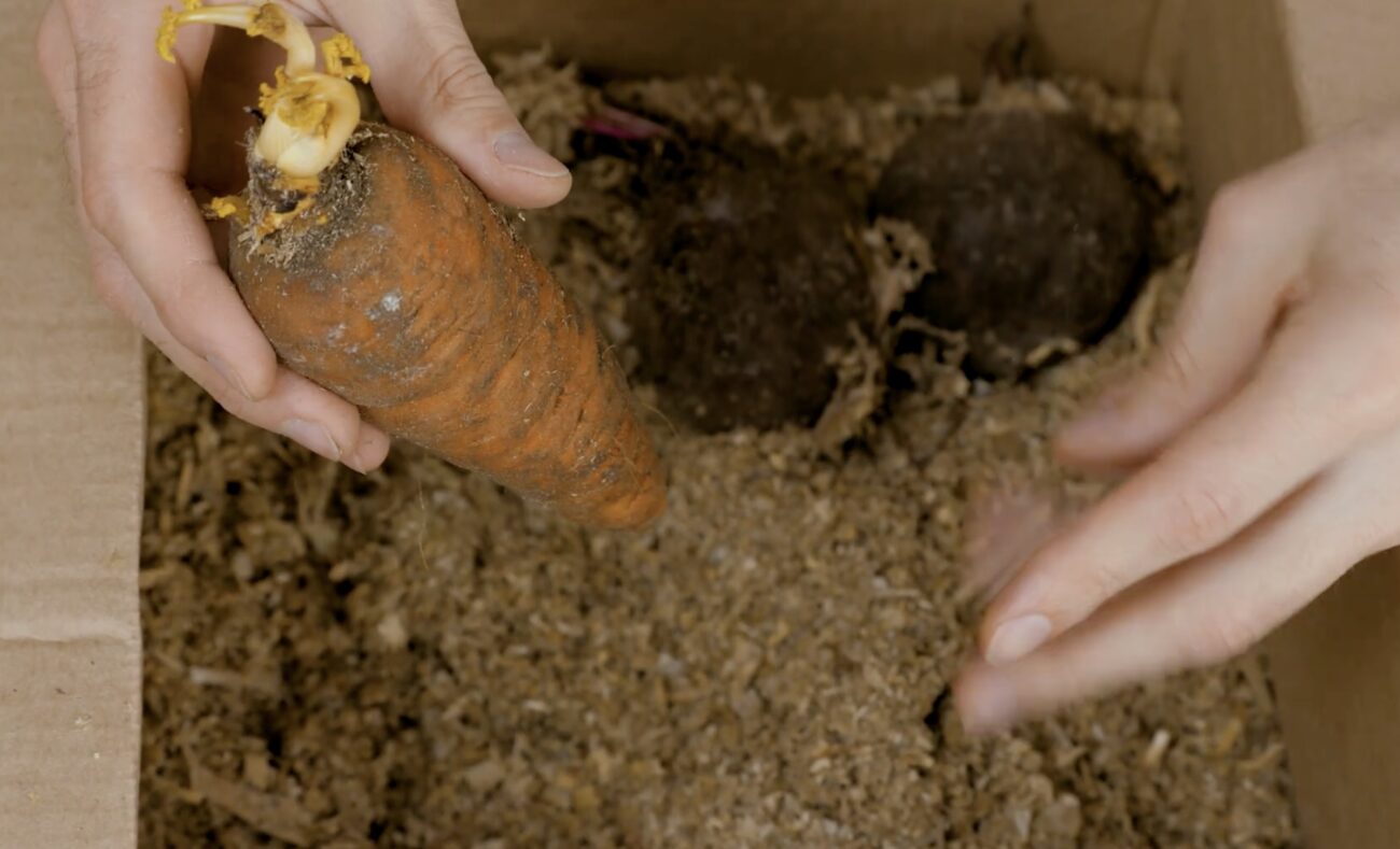 Господині розповіли, як правильно зберігати овочі на балконі взимку