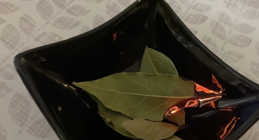 Беру 2 листочки лаврушки, підпалюю – і одним махом вирішую одразу кілька проблем: дідусева мудрість 