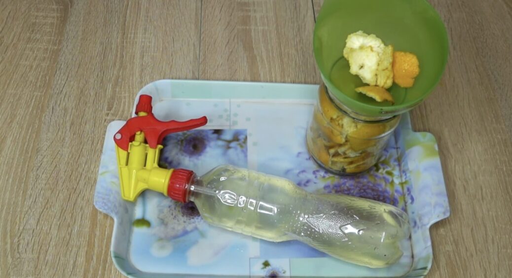 3 лимони, більше не треба: заливаю шкірку оцтом і отримую засіб, який відмиває все на світі до блиску 